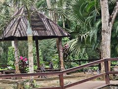 -海南热带野生动植物园
