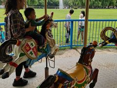 -银树楼(紫玉山庄东区店)