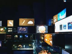 -同济大学四平路校区深海探索馆