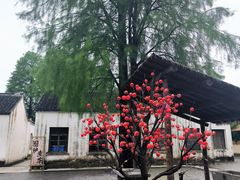 -同里国家湿地公园