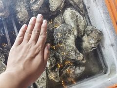 -土蚝·高压锅生蚝(百姓美食街店)