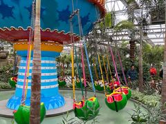 -南宫五洲植物乐园