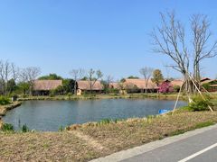 -良渚古城遗址公园