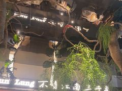 -桂满陇·海市蜃楼·黑金(国金店)