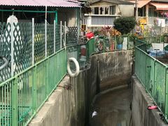-南丫岛