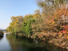 -西湖外事游船(花港观鱼码头)