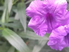 -庖丁家水煮牛排火锅(巴国城店)