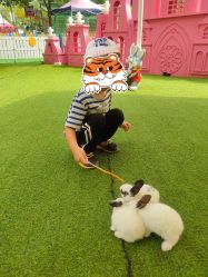 -萌宠亲子动物乐园(槐房万达店)