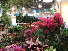 -双季花艺园艺市场(浦东店)