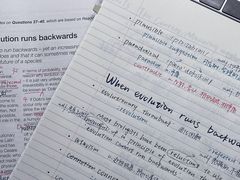 -牛学教育雅思托福PTE·小语种培训(小寨校区)