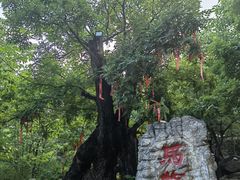 -红嫂家乡旅游区