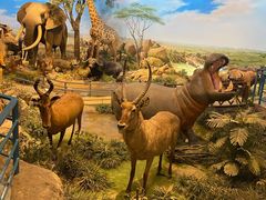 -陕西自然博物馆