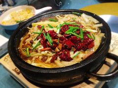 石锅毛血旺-树下时尚餐厅(翠园街店)