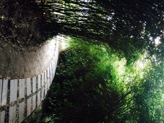 梦清园-苏州河梦清园环保主题公园