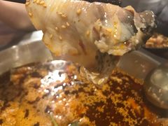 -川渔居—鱼火锅(八方汇店)