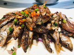 香煎多春鱼-顺丰轩园林酒家(天河店)