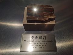 -中国地质大学逸夫博物馆