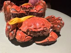 -成隆行·蟹王府(九江路店)