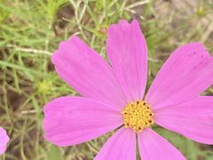 -木洞河街