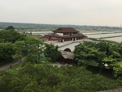 -大湾区中央湿地公园