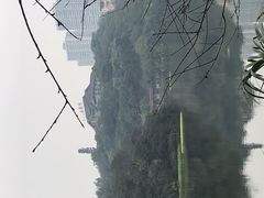 -重庆彩云湖湿地公园
