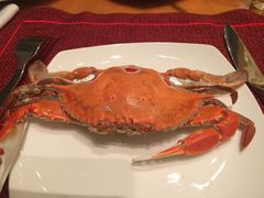 -视界美食自助餐厅·石家庄希尔顿酒店