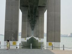 -中澳友谊花园