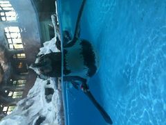 -广东省拱北口岸中国旅行社(华宾营业部)