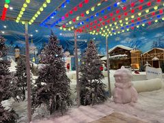 -世界之窗阿尔卑斯冰雪世界