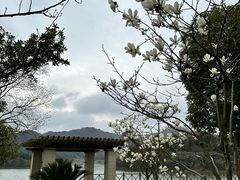 -宁波九龙湖开元度假村