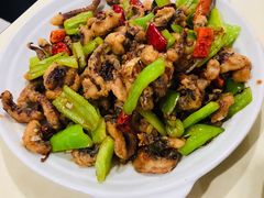 干煸鱿鱼-满口香饭店
