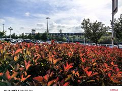 -威海大水泊国际机场