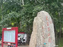 -大望京公园