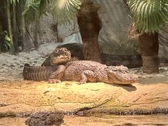 -上海海洋水族馆