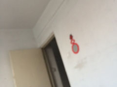 iphone_upload_pic-玉苍山国家森林公园