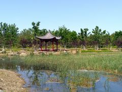 -张家湾公园