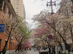 -贵州师范大学(宝山北路校区)