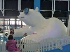 -泉城欧乐堡海洋极地世界