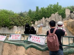 -东方熊牧场