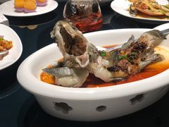 清蒸老虎斑-徐记海鲜(明德门店)