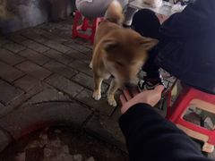 -清真·马文砂锅大全(麦苋街店)