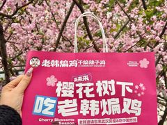-老韩煸鸡·中国炸鸡(水塔美食街店)