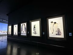 -罗红摄影艺术馆