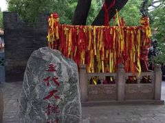 -大槐树寻根祭祖园