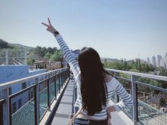 -青藏高原野生动物园
