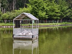 -仁和公园(顺义区)