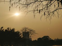 -顺峰山公园