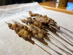 羔羊后腿羊肉串-腰子哥烤串(石佛营炫特店)