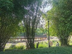 -龙头寺公园