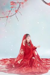 -盘子女人坊古装写真摄影(天津总店)